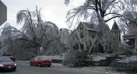 Lessons learned from an ice storm