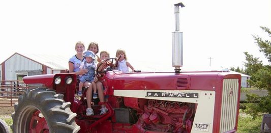 Based on years of personal experience, here are 10 good tips for homeschooling your children