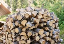 Build a holz hausen to dry firewood