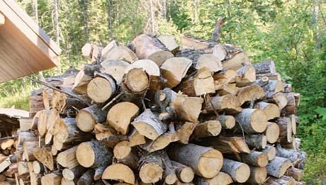 Build a holz hausen to dry firewood