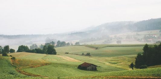 Paring down for off-grid living