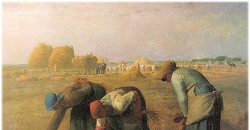 Gleaning — An Old Tradition Made New