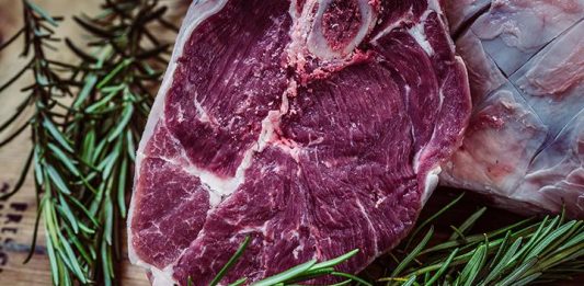 Protein — The Cornerstone of a Survival Diet