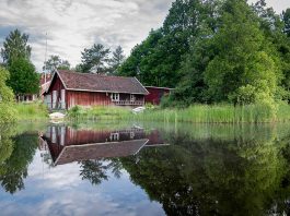 Water development for the homestead: Ponds, cisterns, and tanks