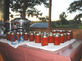 Can your own tomato products