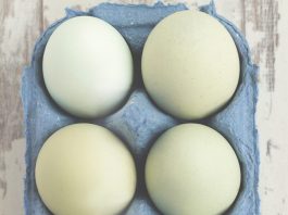 How to tell a bad egg