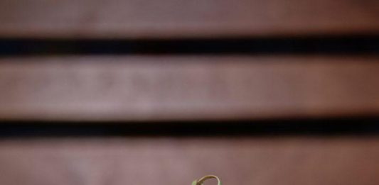 Jamaican Beef Patties