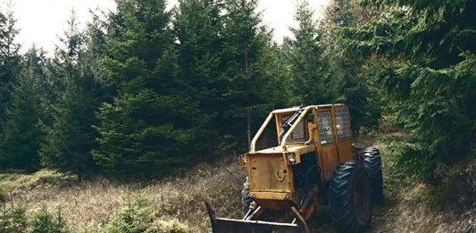 35 country jobs — How folks make a living near my hometown