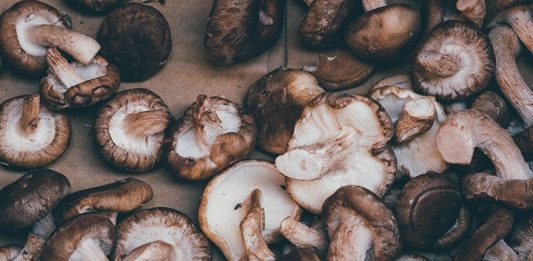 Shiitake mushrooms