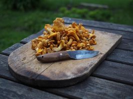 The enchanting Chanterelle — Gourmet goodies free from the forest