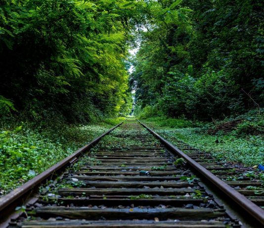 Three honest words: “I don’t know”