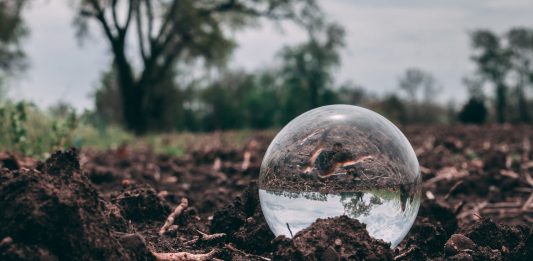 You Can Make Your Own Fertilizers