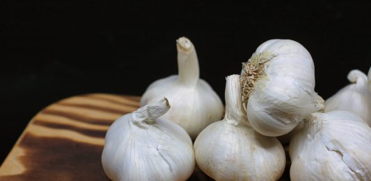A Small Space Yields a Big Crop of Garlic