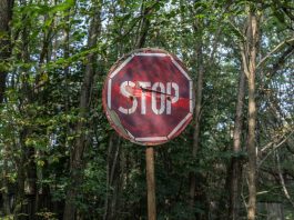 Let’s stop apologizing for guns