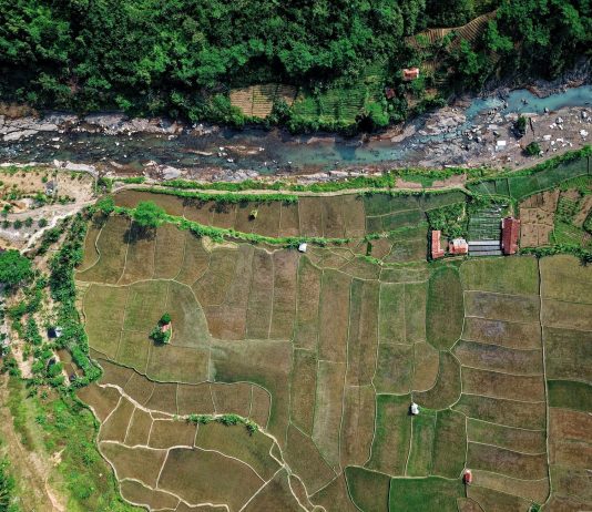 Grid-tie solar-powered farm