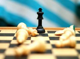 Why not risk it all!