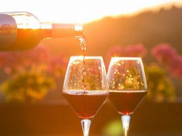 Wonderful wilderness wines