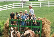 Tale of a country family