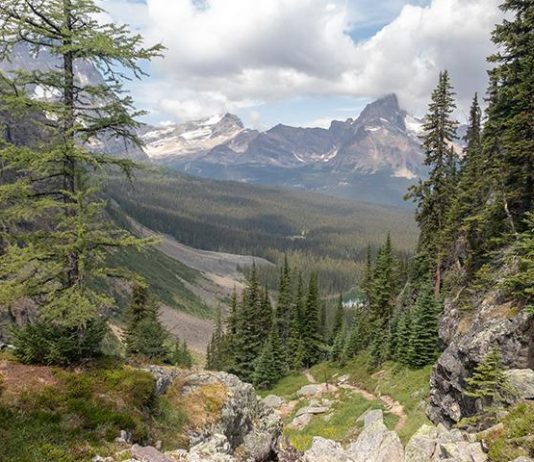 Moving to the wilderness — Turning the dream to reality