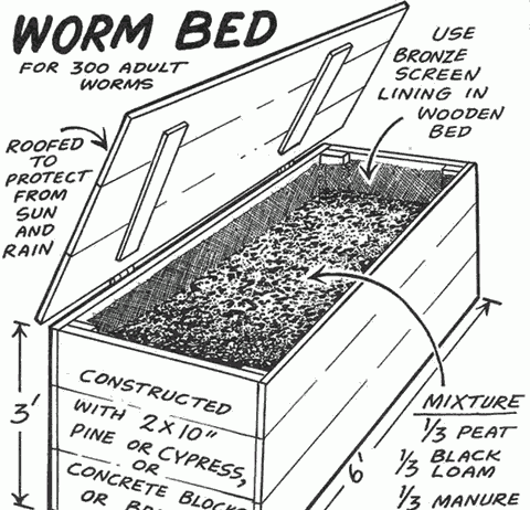 Redworm farming