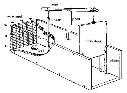 Live or box traps