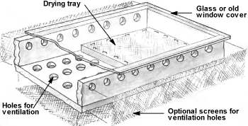 Fruit Or Vegetable Drying System