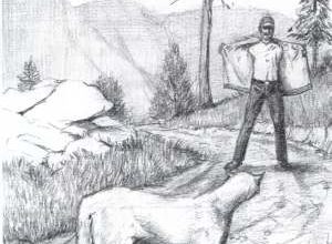 Mountain lions — Attacks are still rare, but just in case…