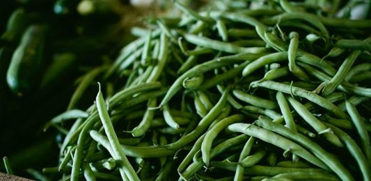 Bean Salad With Fresh Herbs