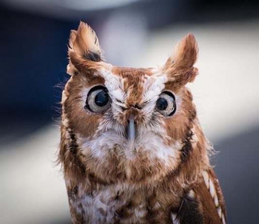 Just for Kids: Take a nite hike!