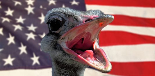 Can America be Saved from Stupid People?