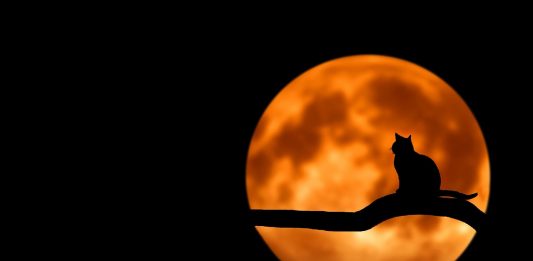 What if the electricity GOES OFF?