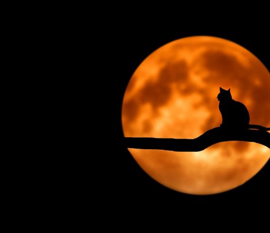 What if the electricity GOES OFF?