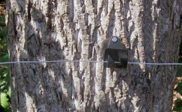 Solar-Powered Electric Fencing