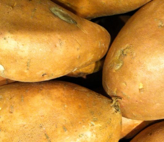 Just for Kids: Some pioneer recipes