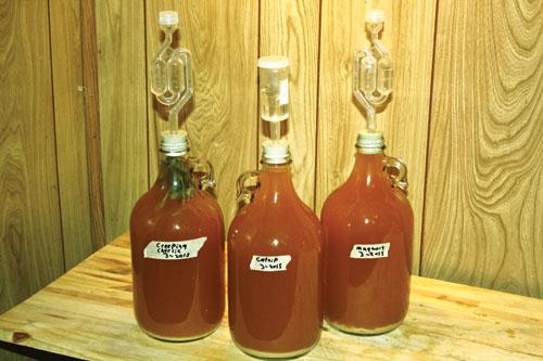 Craft A Brew's 1 Gallon Mead Kit! 