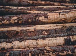 Here’s an Easier (and Cheaper) Way to Make Wooden Beams