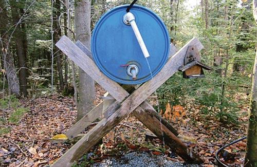 The 55-gallon barrel at the cabin with water running out of the overflow pipe.