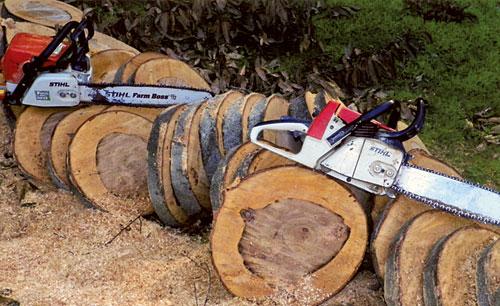 The Complete Guide to the Different Cuts of Firewood – Cutting