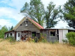 The adventures of a first-time homesteader