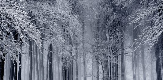 Preparing for winter