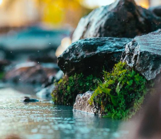 Your survival depends on water