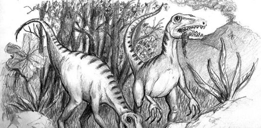 Can we make a Tyrannosaurus rex from a chicken?