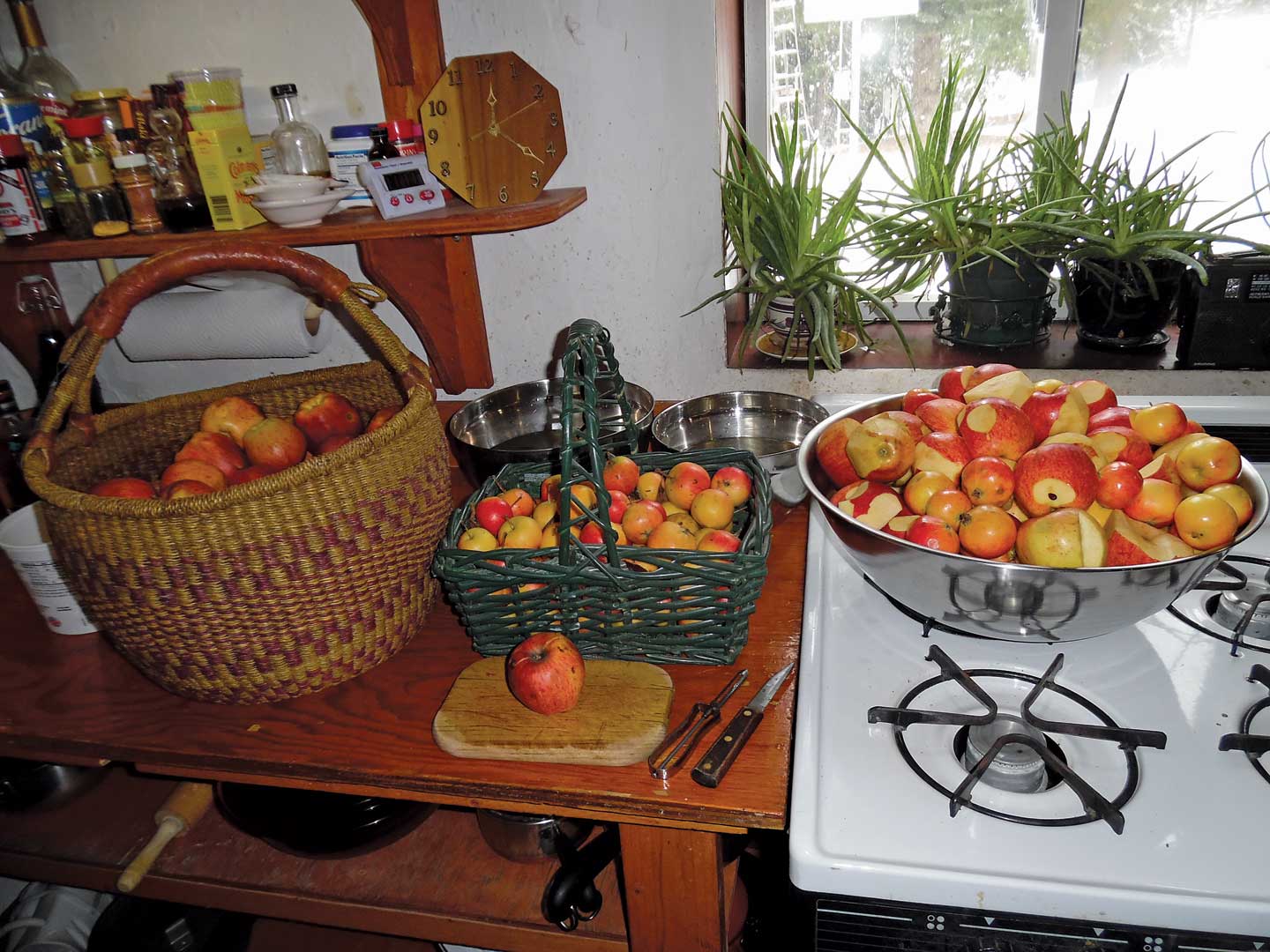 using the homemade press for cider