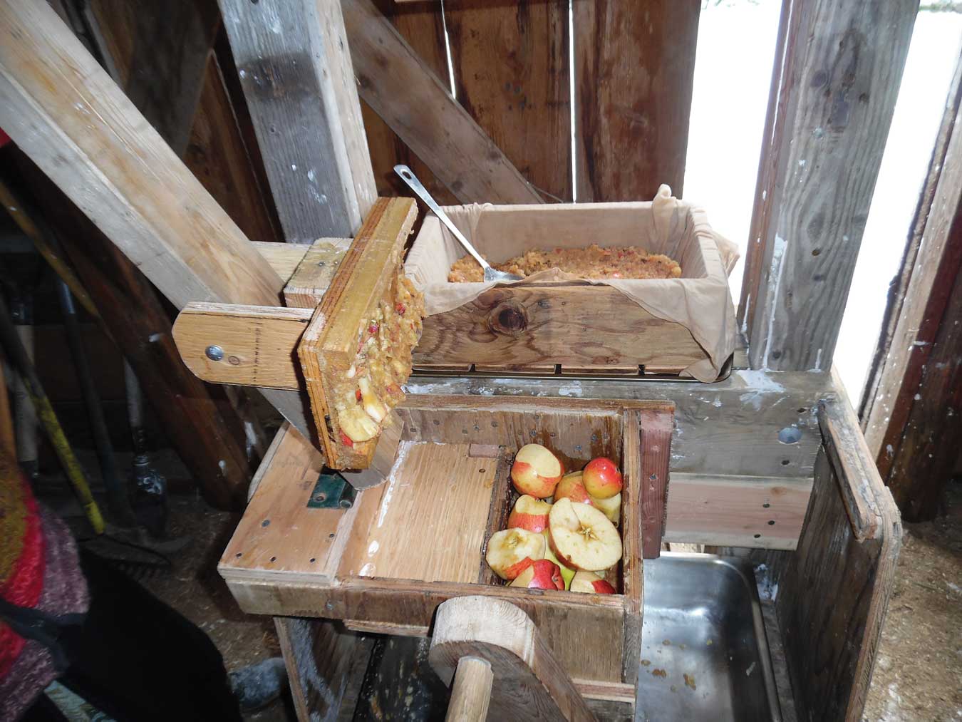 using the homemade press for cider