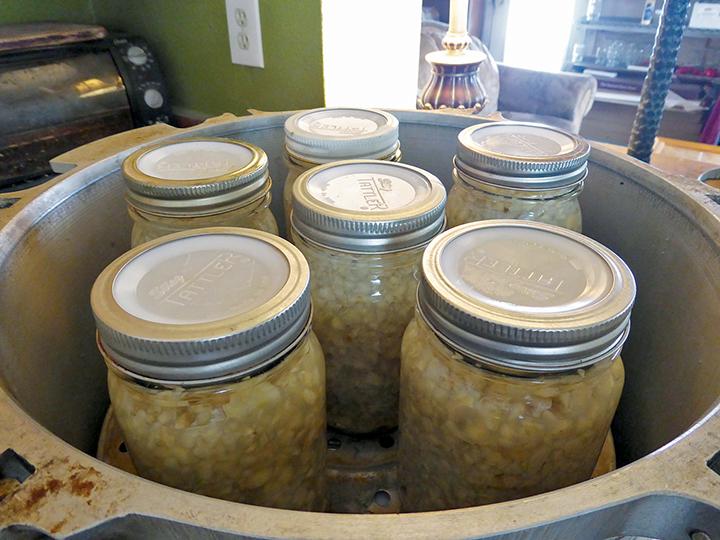 Garlic-Home Canning Lewis173-4-1