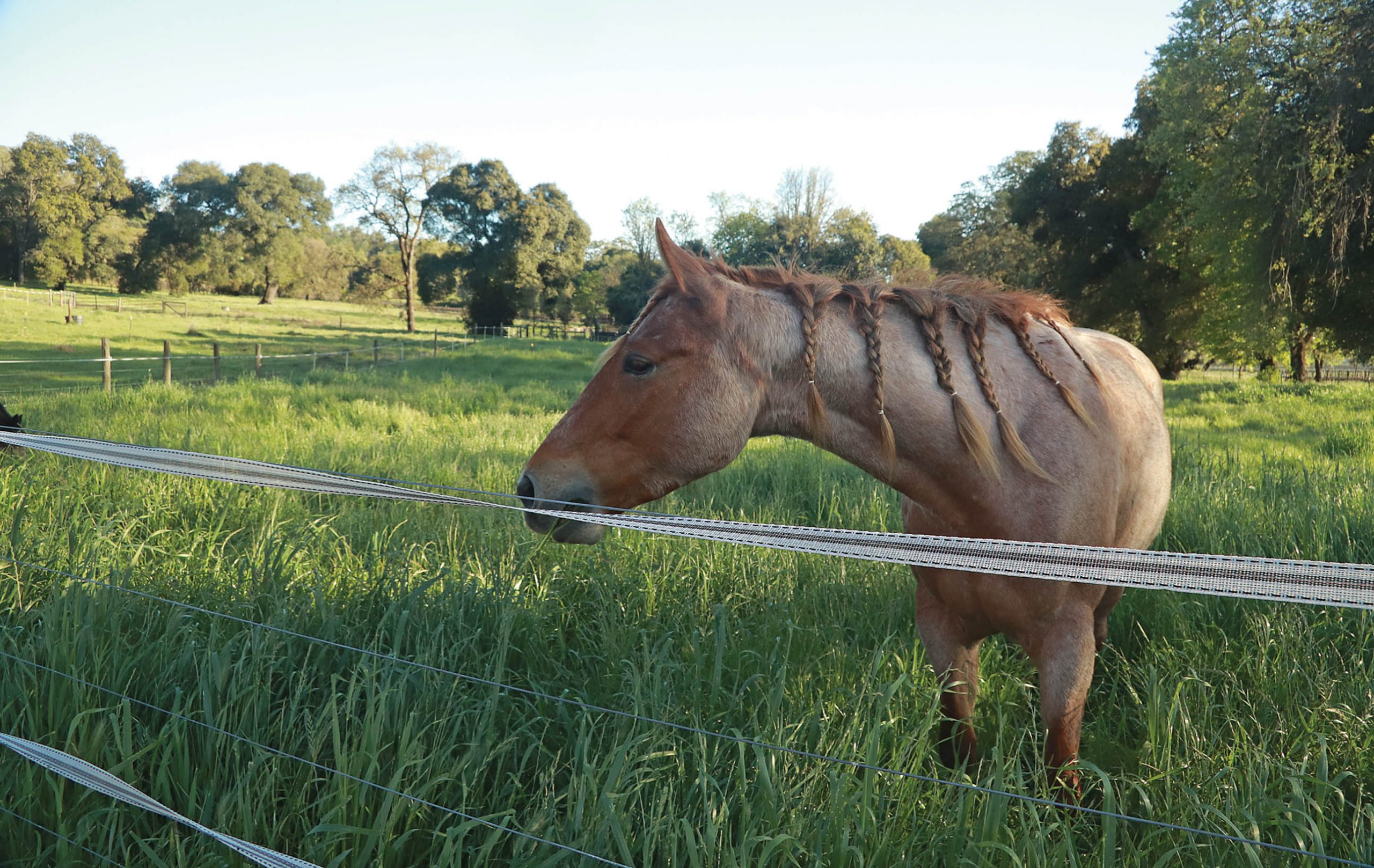 How safe is your electric fence? - Backwoods Home Magazine