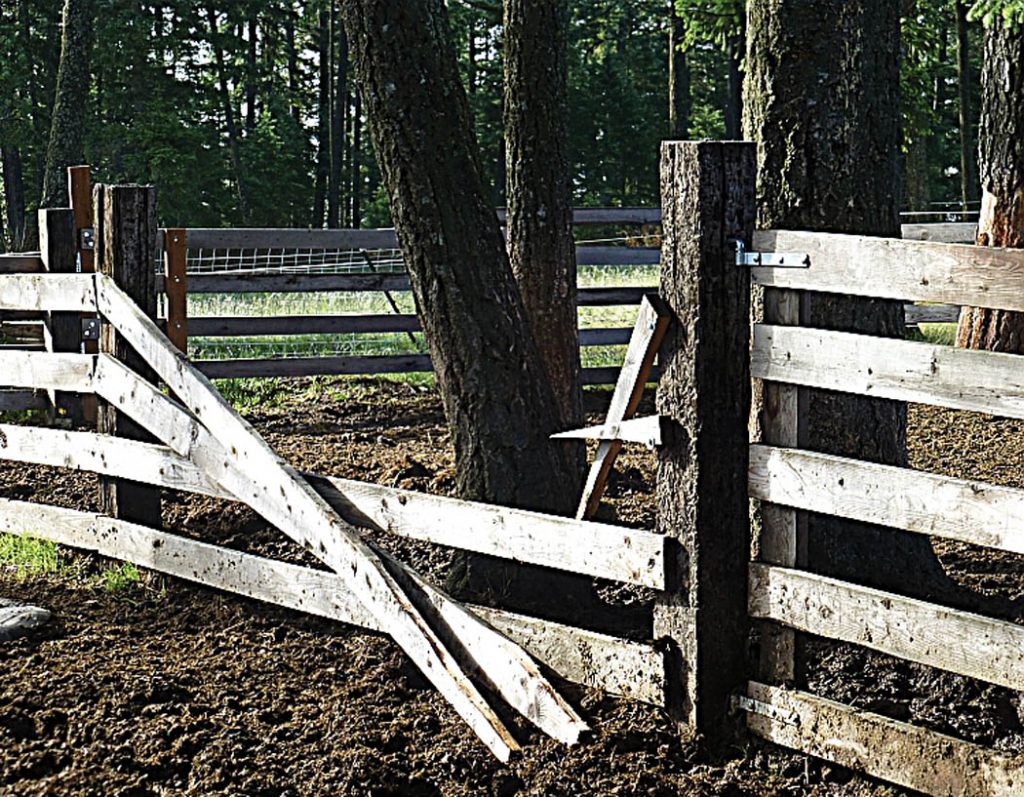 Livestock fencing for the small homesteader, part 2 Backwoods Home