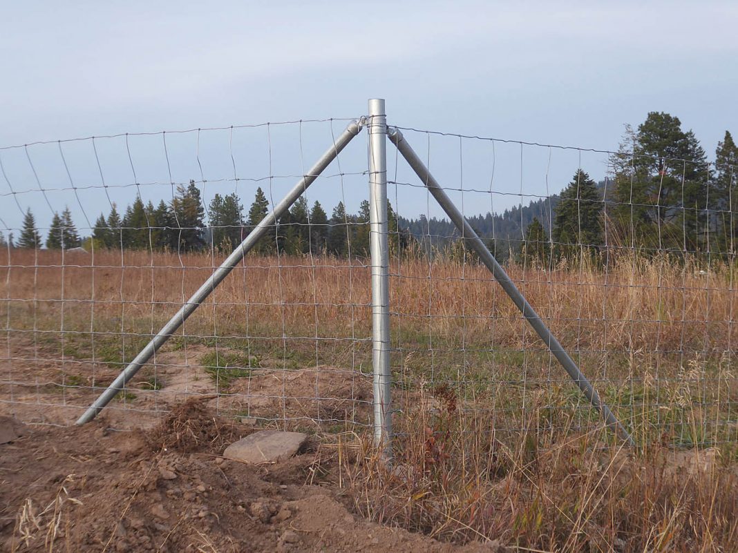 Livestock fencing for the small homesteader Backwoods Home Magazine