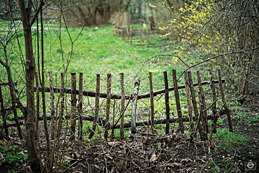 Livestock fencing for the small homesteader - Backwoods Home Magazine