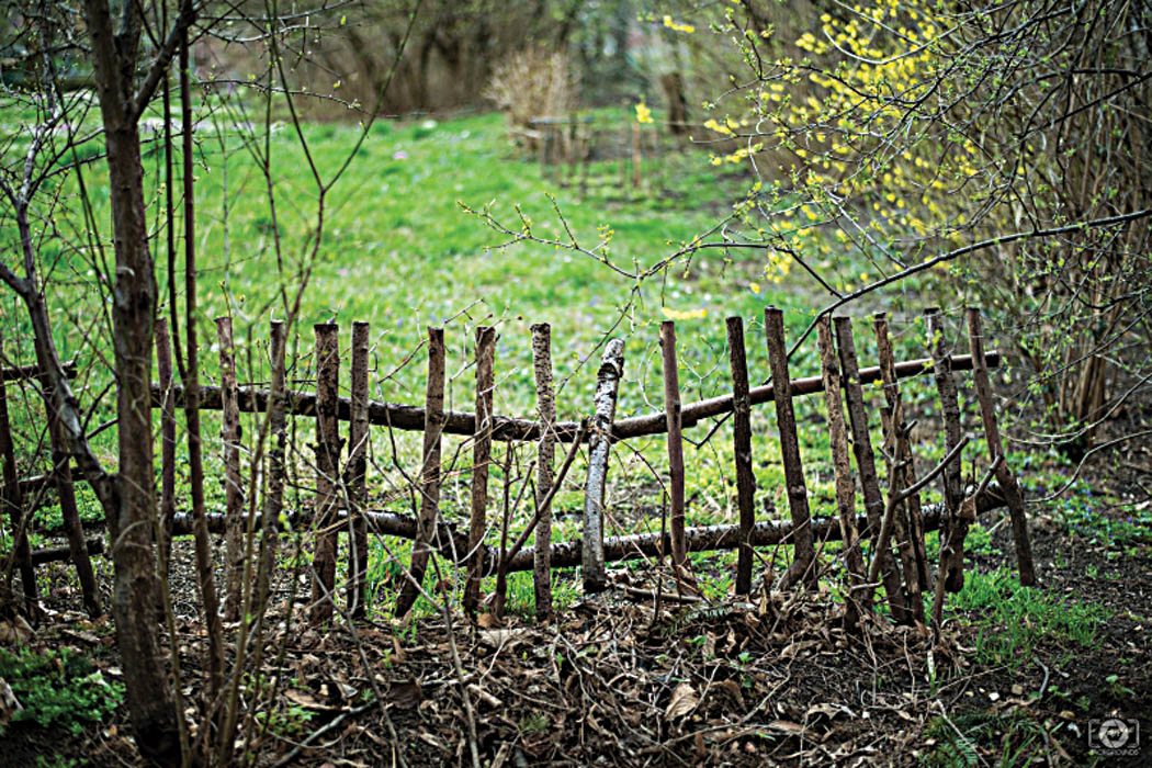 The history and meaning of fences